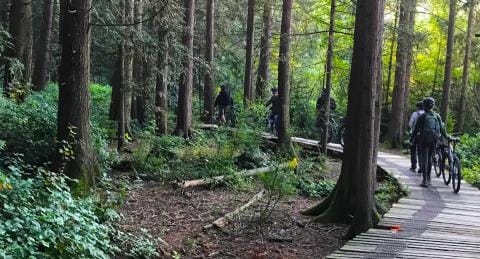 Cyclists walking next to trees